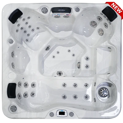 Costa-X EC-749LX hot tubs for sale in Dear Born Heights