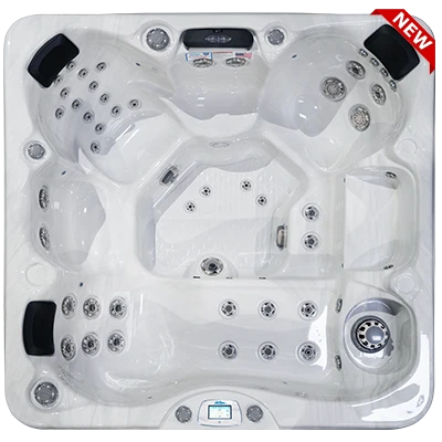 Avalon-X EC-849LX hot tubs for sale in Dear Born Heights