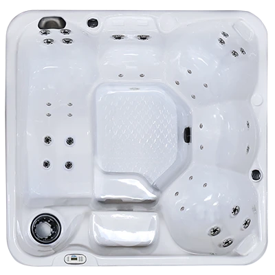 Hawaiian PZ-636L hot tubs for sale in Dear Born Heights